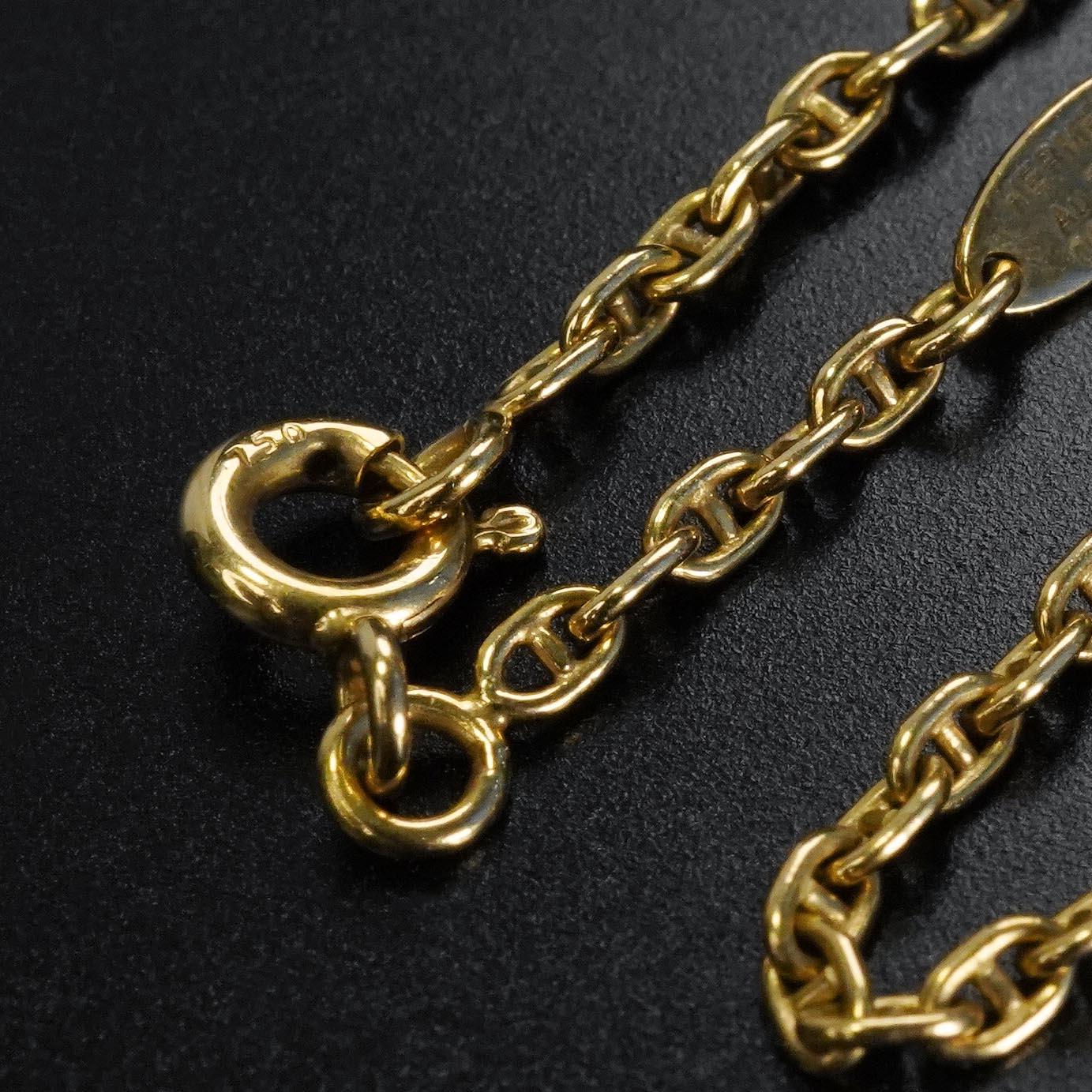 HERMES シェーヌダンクル TTPM YGネックレス